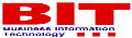 BIT Business Information Technology